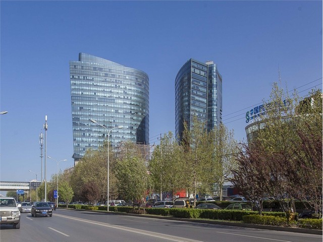 佛山石金钱龟养殖厂家推荐